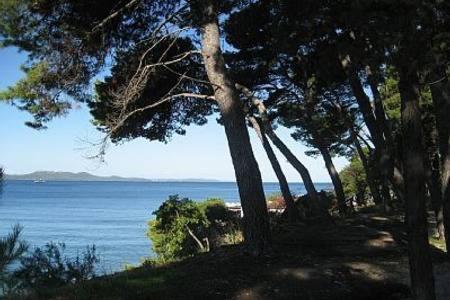 Apartment Michelle Bibinje Εξωτερικό φωτογραφία